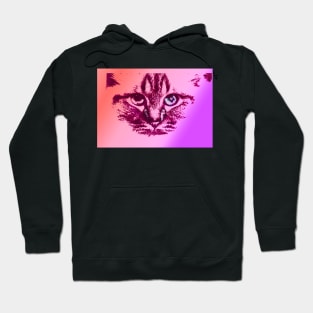 Birman cat Hoodie